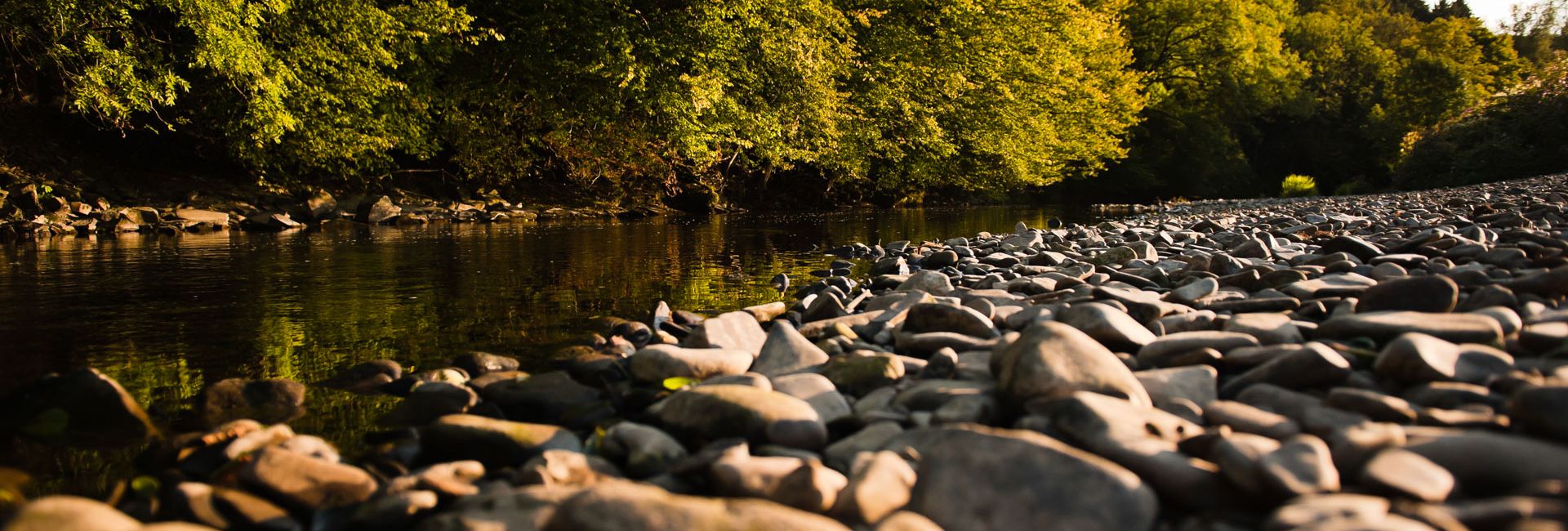Der Auenbogen, die Agger in der Nähe von Overath
